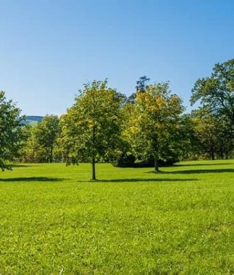 Anonyme Urnenbestattung – Die anonyme Beisetzung auf dem Friedhof Anonyme Urnenbestattung